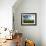 Spring fields of wheat, peas and barley-Terry Eggers-Framed Photographic Print displayed on a wall