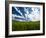 Spring fields of wheat, peas and barley-Terry Eggers-Framed Photographic Print