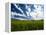 Spring fields of wheat, peas and barley-Terry Eggers-Framed Premier Image Canvas