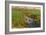 Spring Fields-Michael Budden-Framed Giclee Print