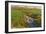 Spring Fields-Michael Budden-Framed Giclee Print