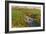 Spring Fields-Michael Budden-Framed Giclee Print