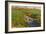 Spring Fields-Michael Budden-Framed Giclee Print