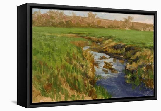 Spring Fields-Michael Budden-Framed Premier Image Canvas