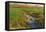 Spring Fields-Michael Budden-Framed Premier Image Canvas