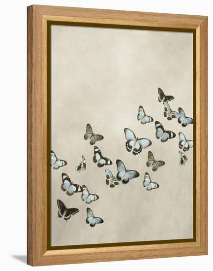 Spring Flight I-Deborah Devellier-Framed Stretched Canvas