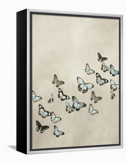 Spring Flight I-Deborah Devellier-Framed Stretched Canvas