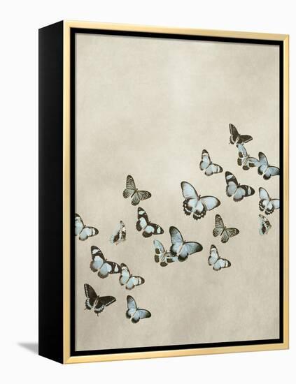 Spring Flight I-Deborah Devellier-Framed Stretched Canvas