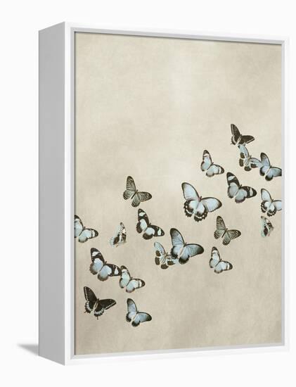 Spring Flight I-Deborah Devellier-Framed Stretched Canvas