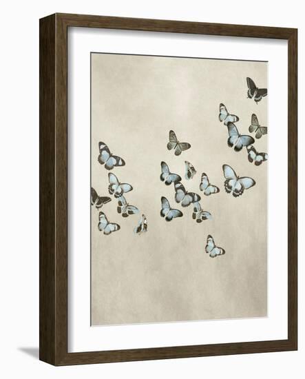 Spring Flight II-Deborah Devellier-Framed Art Print