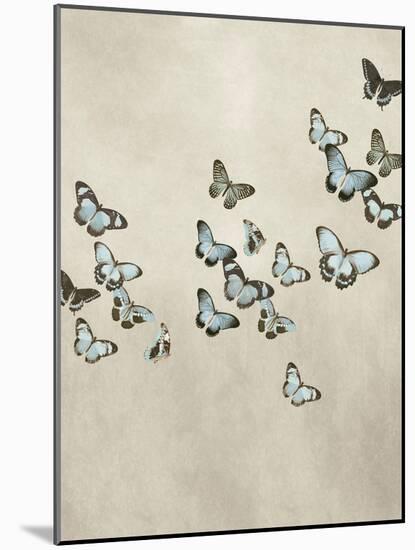 Spring Flight II-Deborah Devellier-Mounted Art Print