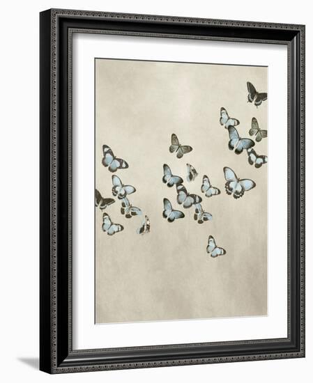 Spring Flight II-Deborah Devellier-Framed Art Print