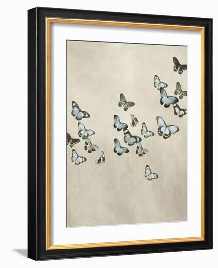 Spring Flight II-Deborah Devellier-Framed Art Print