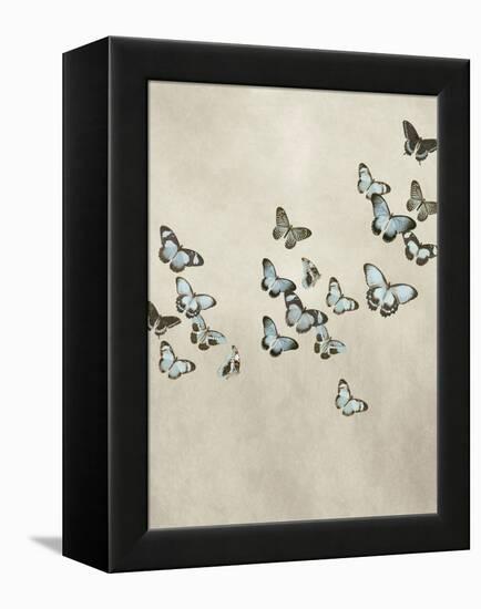 Spring Flight II-Deborah Devellier-Framed Stretched Canvas