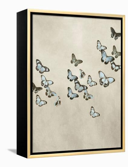 Spring Flight II-Deborah Devellier-Framed Stretched Canvas