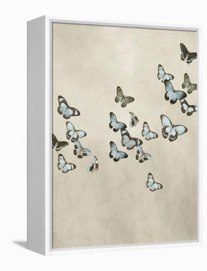 Spring Flight II-Deborah Devellier-Framed Stretched Canvas