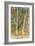 Spring Flood-Carl Larsson-Framed Giclee Print