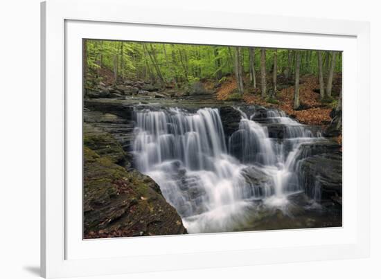 Spring Flow-Michael Greene-Framed Giclee Print