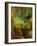 Spring Flow-Doug Chinnery-Framed Photographic Print