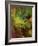 Spring Flow-Doug Chinnery-Framed Photographic Print