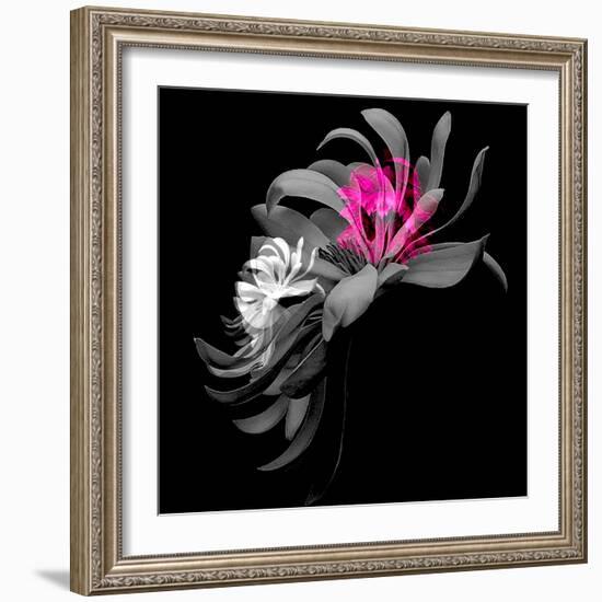 SPRING FLOWER COLLAGE-Linda Arthurs-Framed Giclee Print