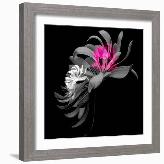 SPRING FLOWER COLLAGE-Linda Arthurs-Framed Giclee Print