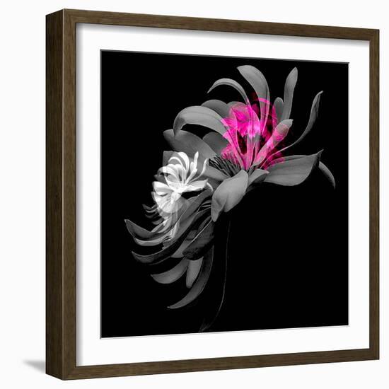 SPRING FLOWER COLLAGE-Linda Arthurs-Framed Giclee Print