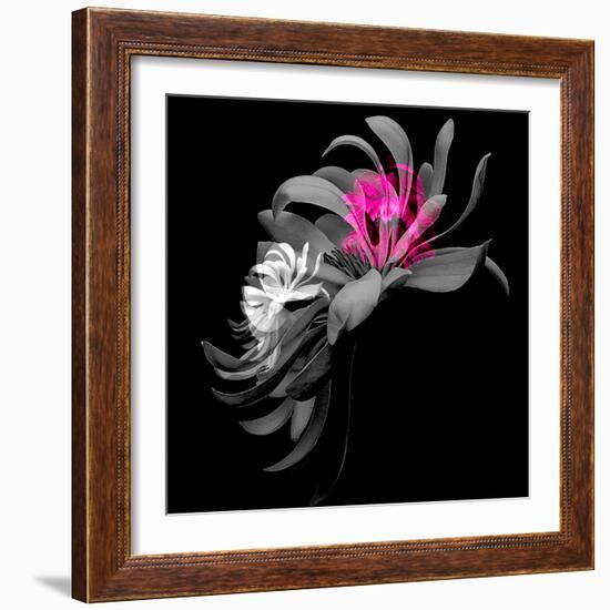 SPRING FLOWER COLLAGE-Linda Arthurs-Framed Giclee Print