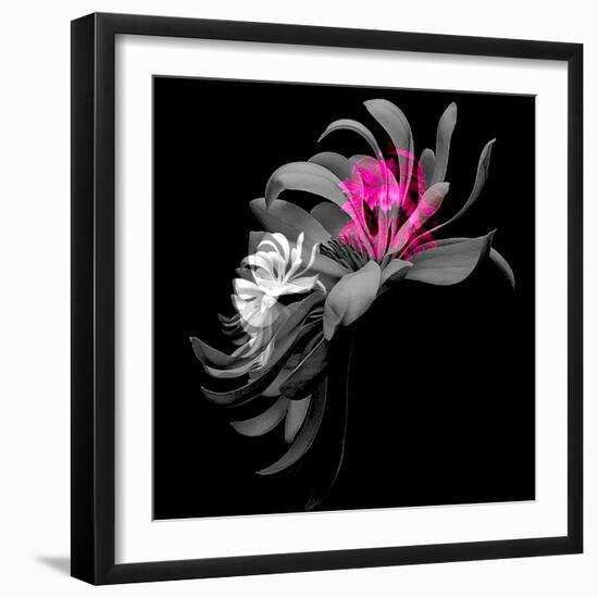 SPRING FLOWER COLLAGE-Linda Arthurs-Framed Giclee Print