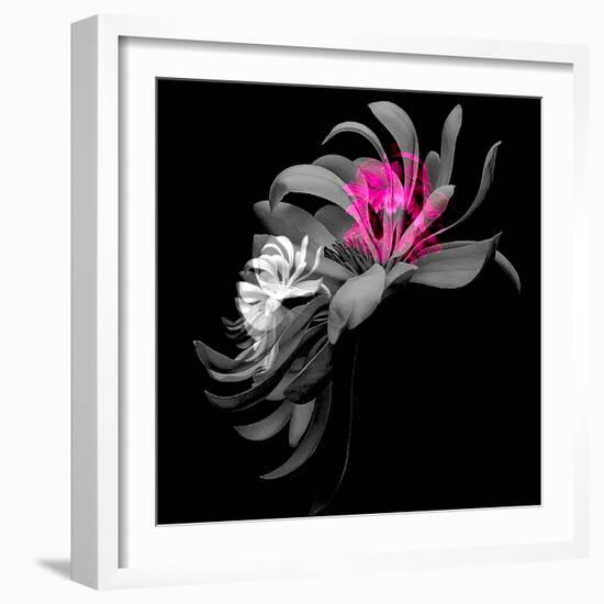 SPRING FLOWER COLLAGE-Linda Arthurs-Framed Giclee Print