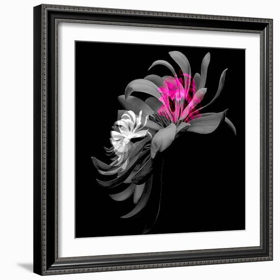 SPRING FLOWER COLLAGE-Linda Arthurs-Framed Giclee Print