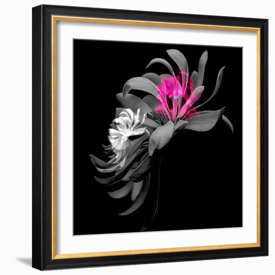 SPRING FLOWER COLLAGE-Linda Arthurs-Framed Giclee Print