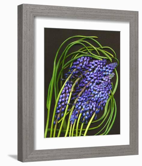 Spring Flower Garden Hyacinths-null-Framed Premium Giclee Print