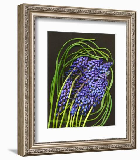 Spring Flower Garden Hyacinths-null-Framed Art Print