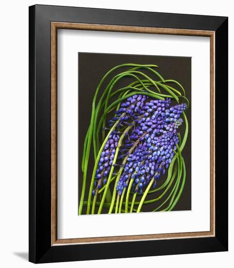 Spring Flower Garden Hyacinths-null-Framed Art Print