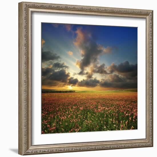 Spring Flower Meadow. Composition of Nature-Oleh Honcharenko-Framed Photographic Print