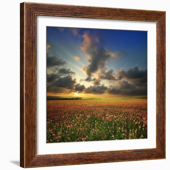 Spring Flower Meadow. Composition of Nature-Oleh Honcharenko-Framed Photographic Print