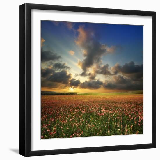 Spring Flower Meadow. Composition of Nature-Oleh Honcharenko-Framed Photographic Print