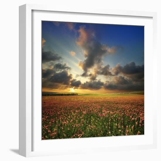 Spring Flower Meadow. Composition of Nature-Oleh Honcharenko-Framed Photographic Print