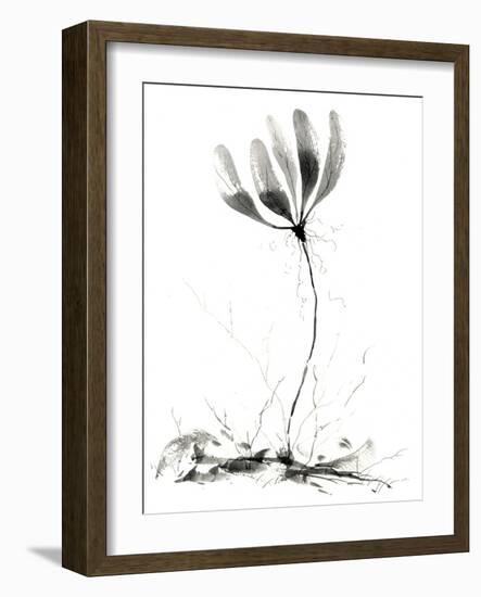 Spring Flower-null-Framed Giclee Print