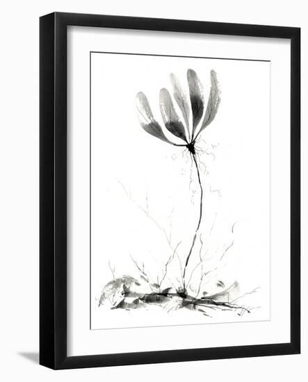 Spring Flower-null-Framed Giclee Print