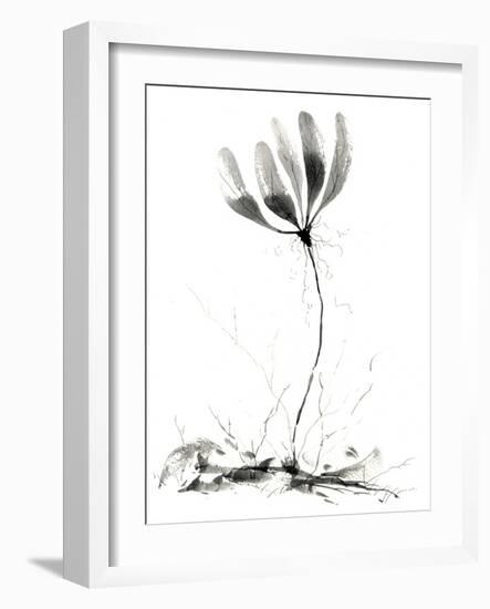 Spring Flower-null-Framed Giclee Print