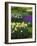 Spring flowerbeds with daffodils and hyacinth-Anna Miller-Framed Photographic Print