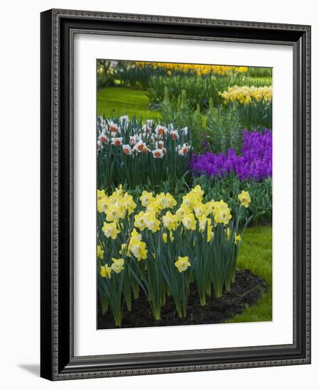 Spring flowerbeds with daffodils and hyacinth-Anna Miller-Framed Photographic Print