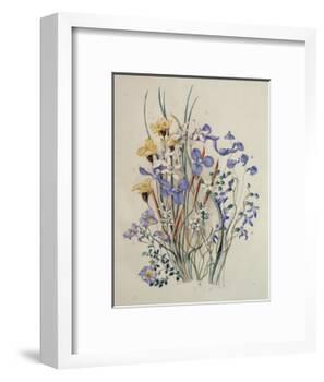 Spring Flowers, 19th Century-Caroline Louisa Meredith-Framed Giclee Print