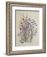 Spring Flowers, 19th Century-Caroline Louisa Meredith-Framed Giclee Print