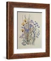 Spring Flowers, 19th Century-Caroline Louisa Meredith-Framed Giclee Print