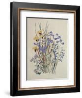 Spring Flowers, 19th Century-Caroline Louisa Meredith-Framed Giclee Print