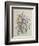 Spring Flowers, 19th Century-Caroline Louisa Meredith-Framed Giclee Print