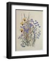 Spring Flowers, 19th Century-Caroline Louisa Meredith-Framed Giclee Print
